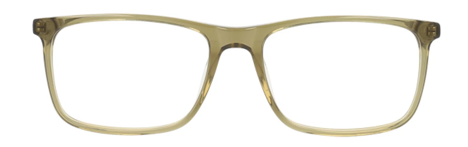 Randy Jackson RJ3070 Eyeglasses - view 6